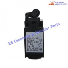 <b>Elevator ZR236-11Y Switch</b>