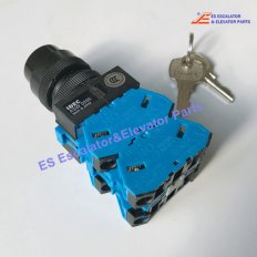 <b>DAA177NPJ1 Escalator Lock Key Switch Key 3 Position</b>